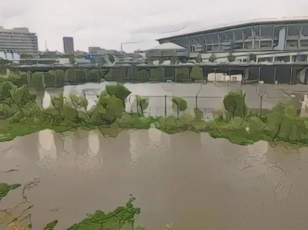 台風の影響を受けたスタジアムの様子